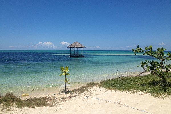 フィリピンと言えば海！美しいビーチと珊瑚礁に囲まれた南の島は日本人にも人気です。