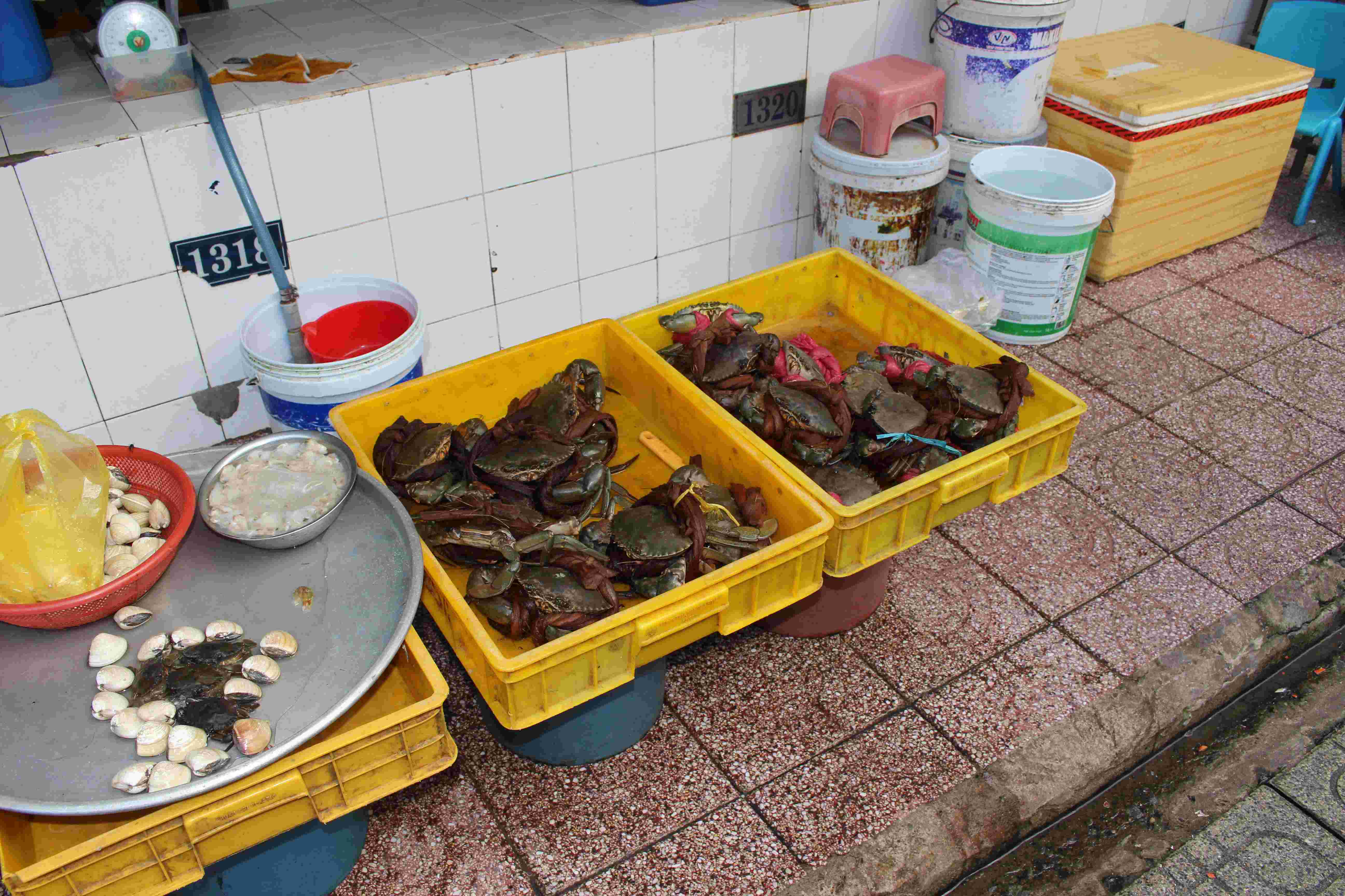 ベトナムのカニ料理に使われる生きたカニ